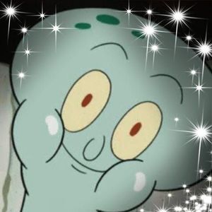 Meet your Posher, Loralei